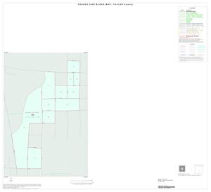 2000 Census County Block Map: Taylor County, Inset F01