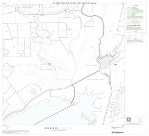 2000 Census County Block Map: Matagorda County, Block 21