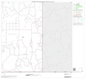 2000 Census County Block Map: Cottle County, Block 9