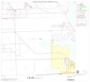 2000 Census County Block Map: Cameron County, Block 42