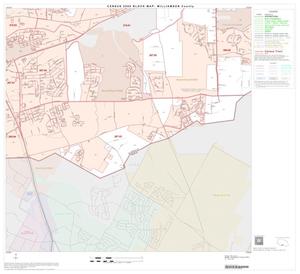 2000 Census County Block Map: Williamson County, Block 62