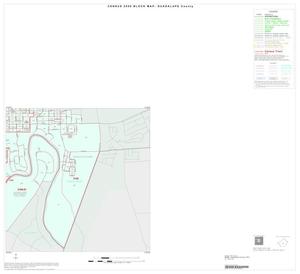 2000 Census County Block Map: Guadalupe County, Inset A04