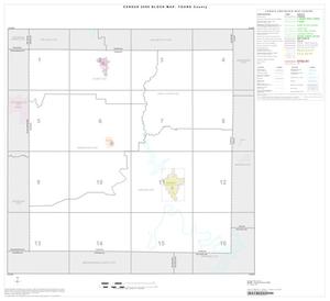 Primary view of object titled '2000 Census County Block Map: Young County, Index'.