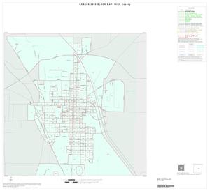 2000 Census County Block Map: Wise County, Inset E01