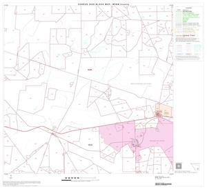 2000 Census County Block Map: Webb County, Block 30