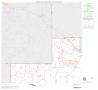 Primary view of 2000 Census County Block Map: Jim Hogg County, Block 1