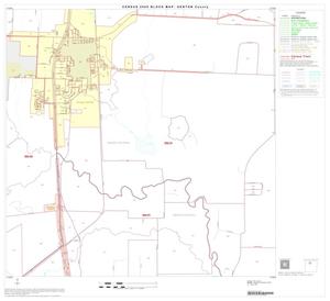 2000 Census County Block Map: Denton County, Block 12