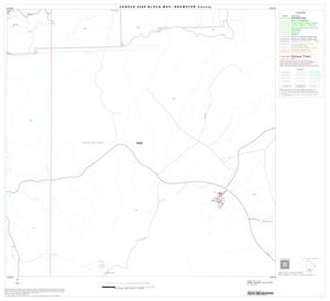 2000 Census County Block Map: Brewster County, Block 42