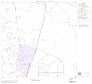2000 Census County Block Map: Webb County, Block 17