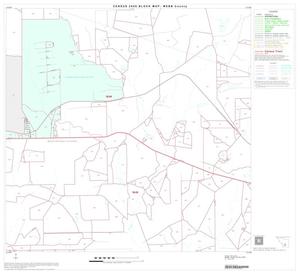 2000 Census County Block Map: Webb County, Block 29