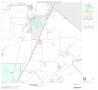 Map: 2000 Census County Block Map: Hays County, Block 15