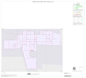 2000 Census County Block Map: Wise County, Inset C01