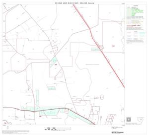 2000 Census County Block Map: Orange County, Block 10