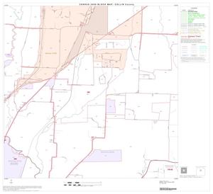 2000 Census County Block Map: Collin County, Block 17