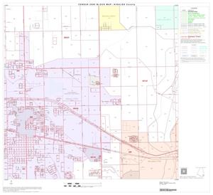 2000 Census County Block Map: Hidalgo County, Block 81