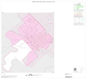 2000 Census County Block Map: Wilson County, Inset D01