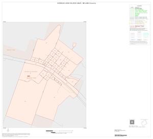 2000 Census County Block Map: Milam County, Inset A01