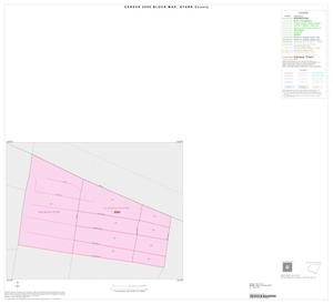 2000 Census County Block Map: Starr County, Inset D01