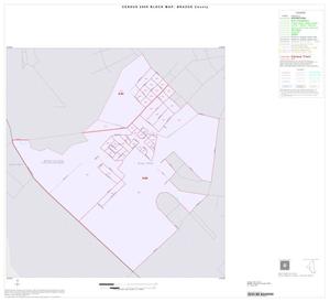 2000 Census County Block Map: Brazos County, Inset C01