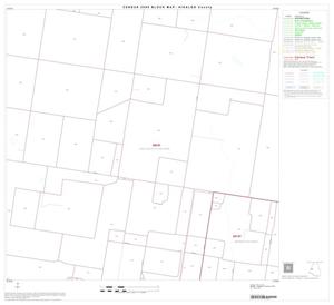 2000 Census County Block Map: Hidalgo County, Block 36