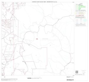 2000 Census County Block Map: Brewster County, Block 36