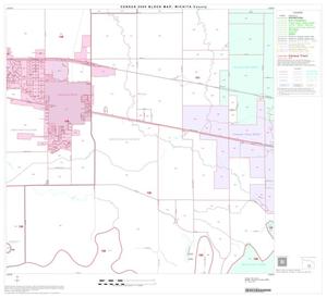 2000 Census County Block Map: Wichita County, Block 20