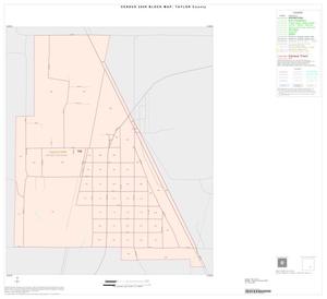 2000 Census County Block Map: Taylor County, Inset G01