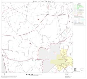 Primary view of object titled '2000 Census County Block Map: Lee County, Block 11'.