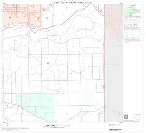 2000 Census County Block Map: Hidalgo County, Block 89