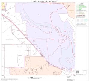 2000 Census County Block Map: Tarrant County, Block 32