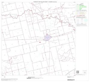 Primary view of object titled '2000 Census County Block Map: Fisher County, Block 5'.