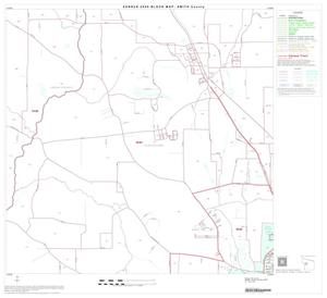 2000 Census County Block Map: Smith County, Block 19