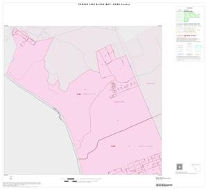 2000 Census County Block Map: Webb County, Inset B01
