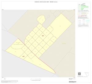 2000 Census County Block Map: Webb County, Inset F01