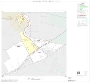 2000 Census County Block Map: Guadalupe County, Inset C01