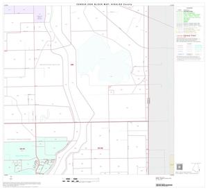 2000 Census County Block Map: Hidalgo County, Block 73