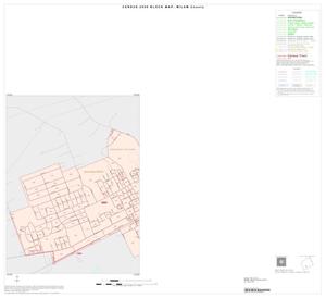 2000 Census County Block Map: Milam County, Inset E01