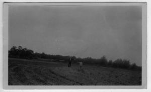 Primary view of object titled '[Two men in plowed field]'.