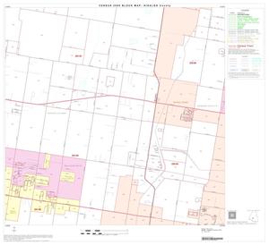 2000 Census County Block Map: Hidalgo County, Block 58