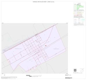 2000 Census County Block Map: Leon County, Inset A01