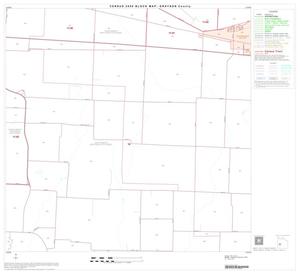 2000 Census County Block Map: Grayson County, Block 21