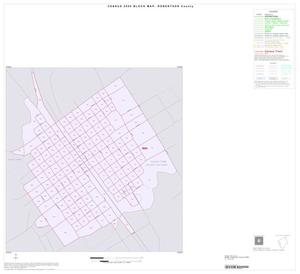 2000 Census County Block Map: Robertson County, Inset C01