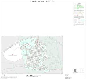 2000 Census County Block Map: Mitchell County, Inset B01
