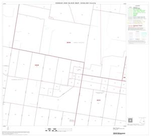 2000 Census County Block Map: Hidalgo County, Block 51