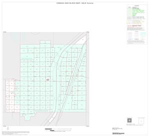2000 Census County Block Map: Hale County, Inset C01
