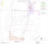 Map: 2000 Census County Block Map: Collin County, Block 10