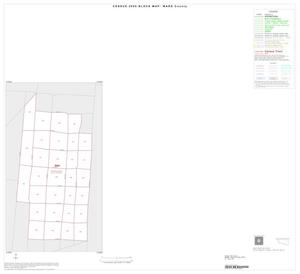 2000 Census County Block Map: Ward County, Inset D01