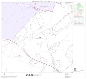 2000 Census County Block Map: Comal County, Block 17