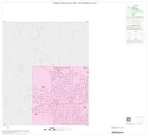 2000 Census County Block Map: Hutchinson County, Inset E01