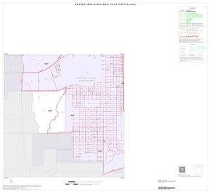 2000 Census County Block Map: Palo Pinto County, Inset B07